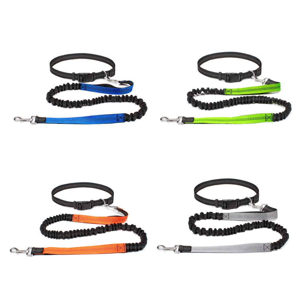 Guinzaglio per cani a mani lib - Running Gear Belt recensione e prezzo
